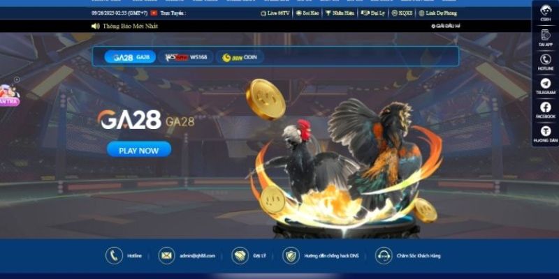 Hướng dẫn đặt cược đá gà online chi tiết